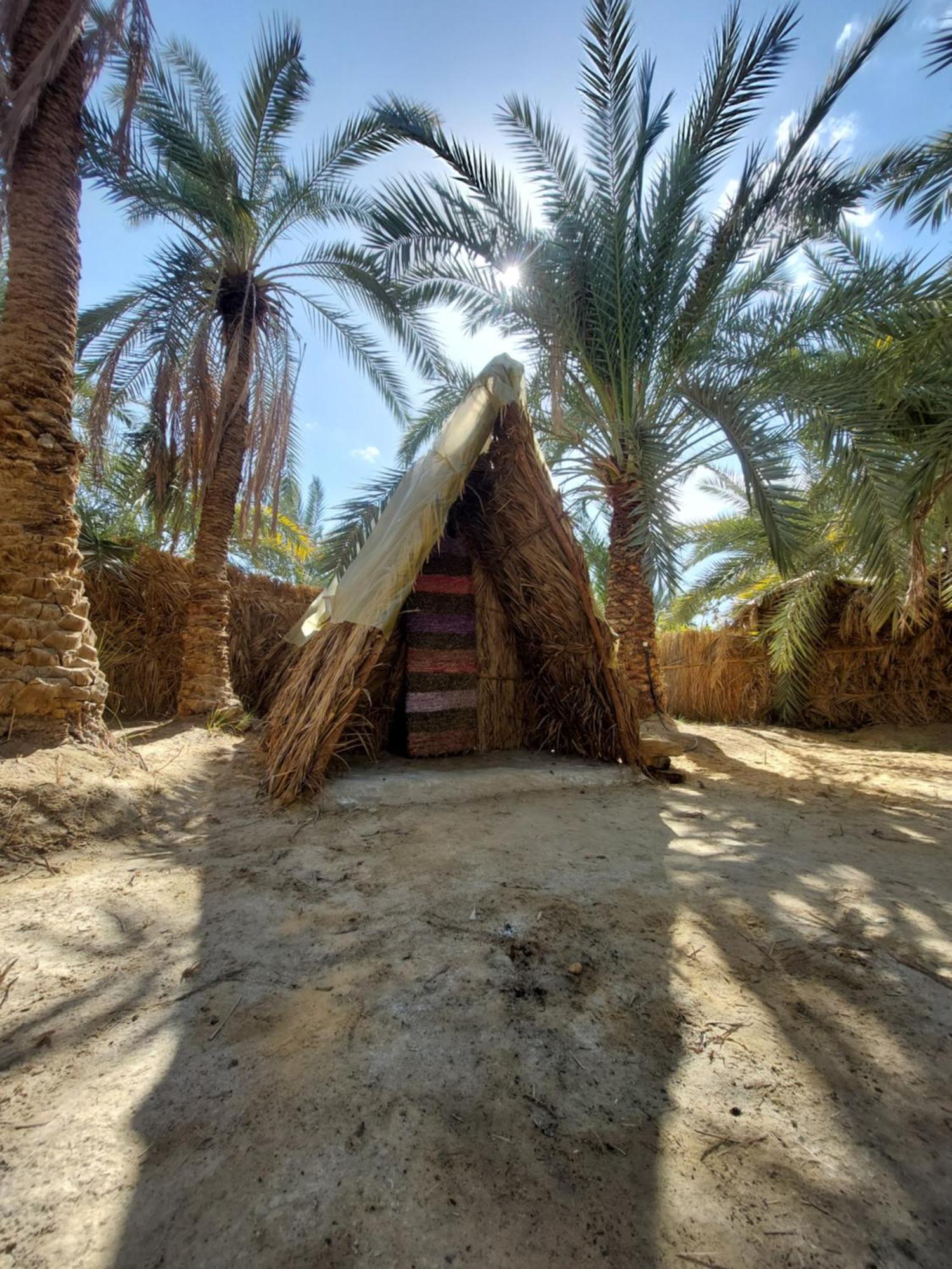 Forest Camp Siwa - كامب الغابة Siwa Oasis Exterior foto