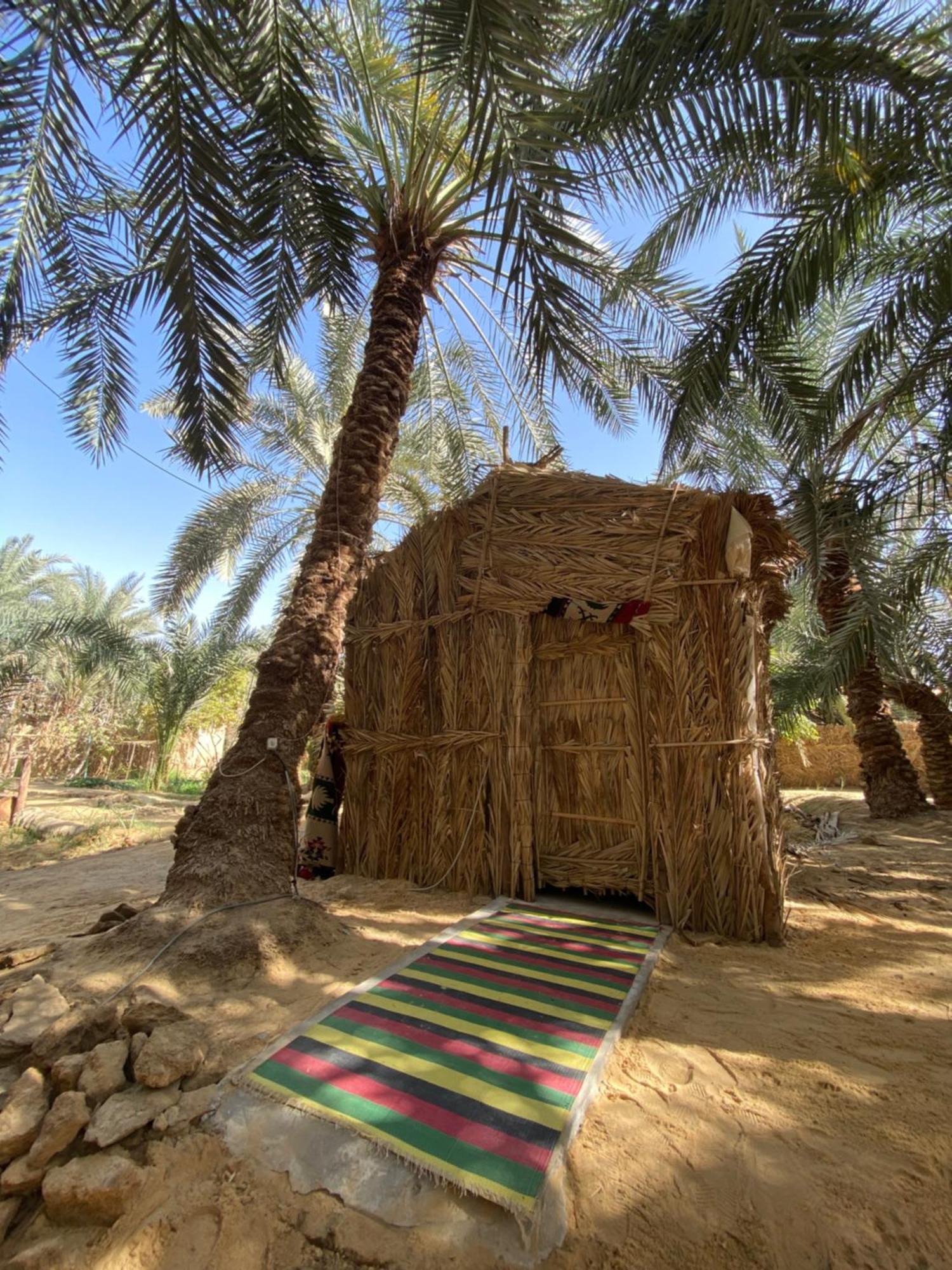Forest Camp Siwa - كامب الغابة Siwa Oasis Exterior foto