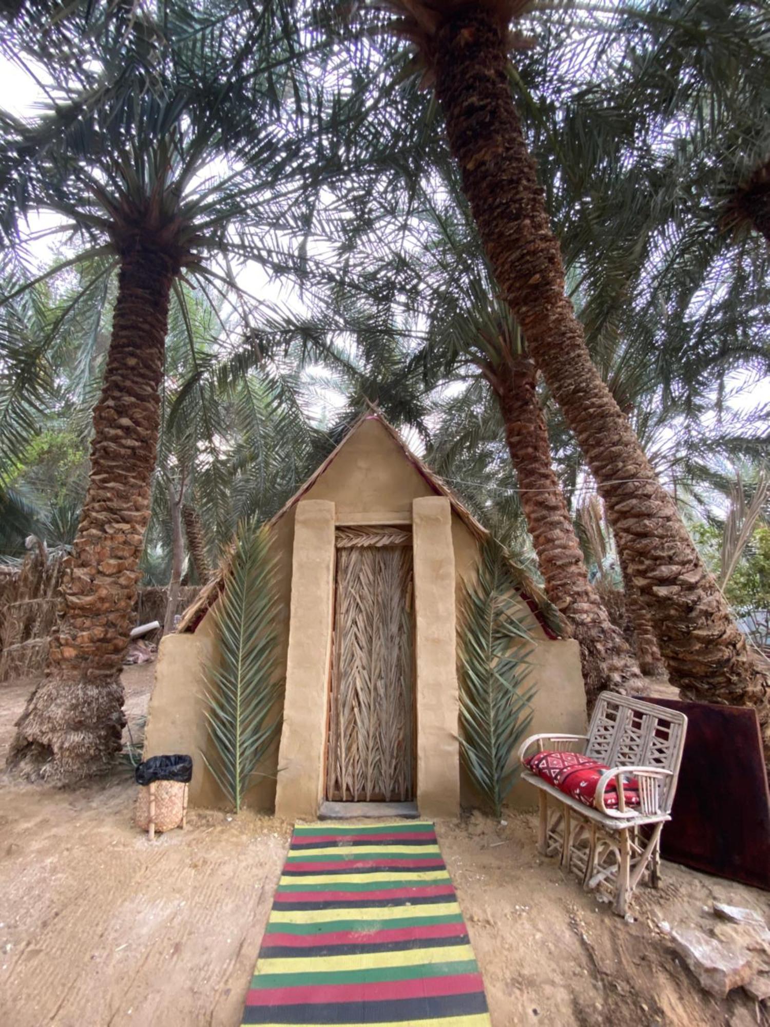 Forest Camp Siwa - كامب الغابة Siwa Oasis Exterior foto