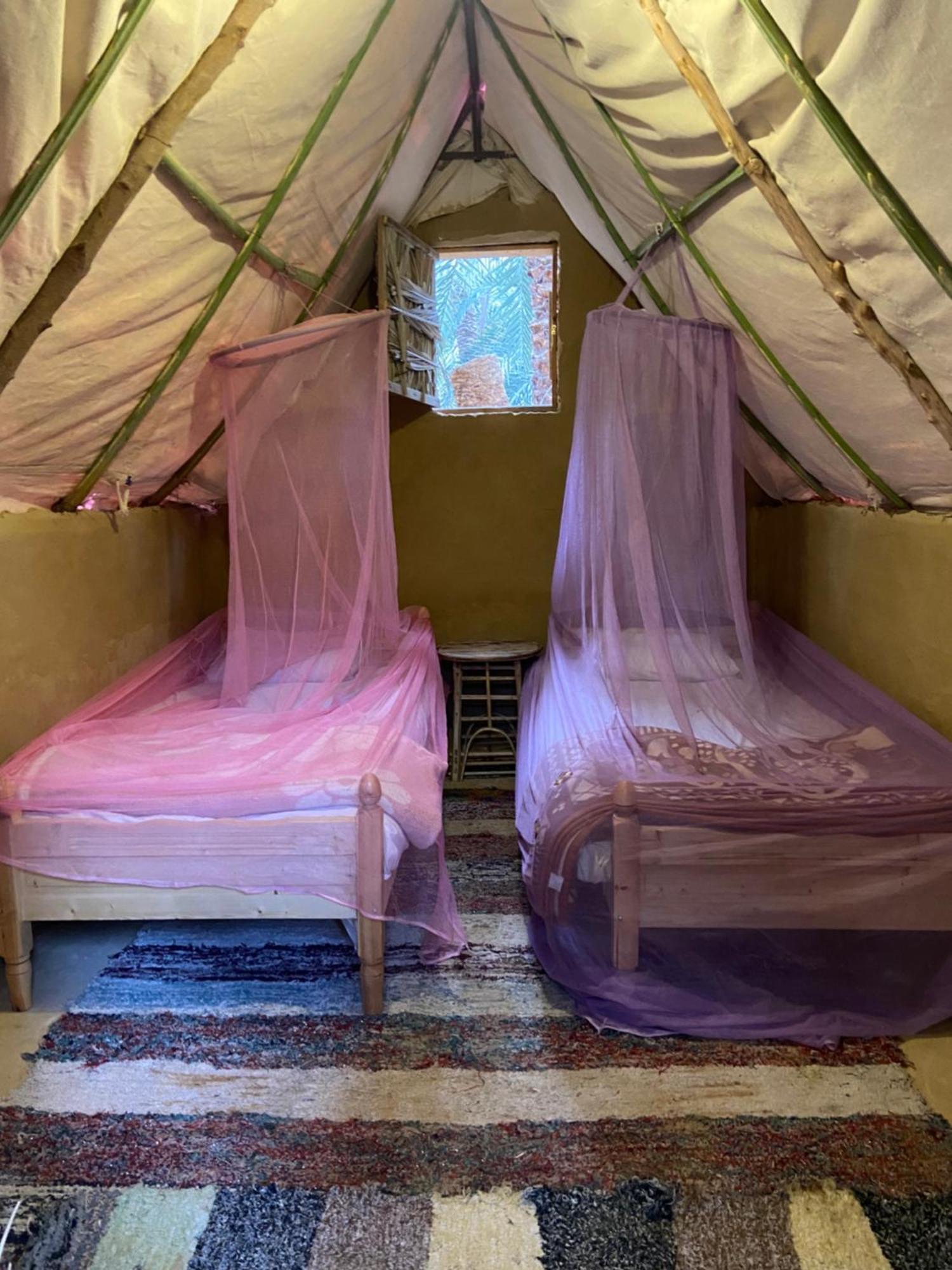 Forest Camp Siwa - كامب الغابة Siwa Oasis Exterior foto