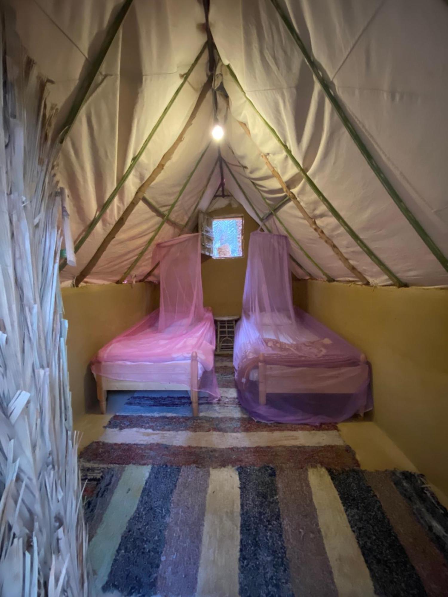 Forest Camp Siwa - كامب الغابة Siwa Oasis Exterior foto