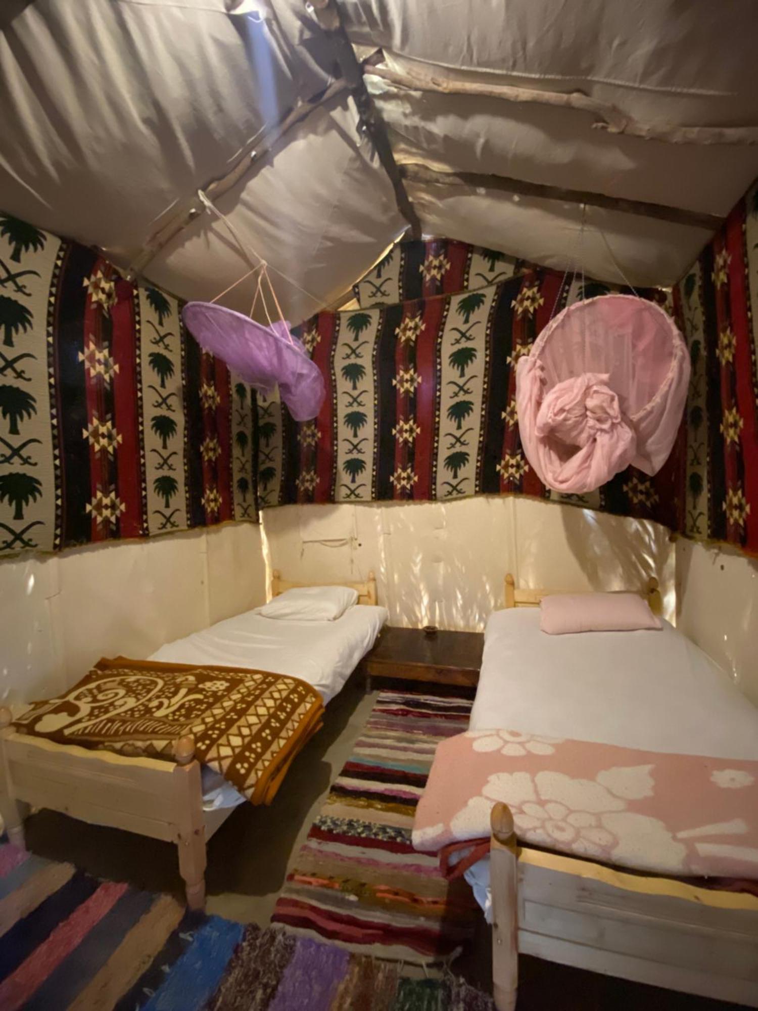Forest Camp Siwa - كامب الغابة Siwa Oasis Exterior foto