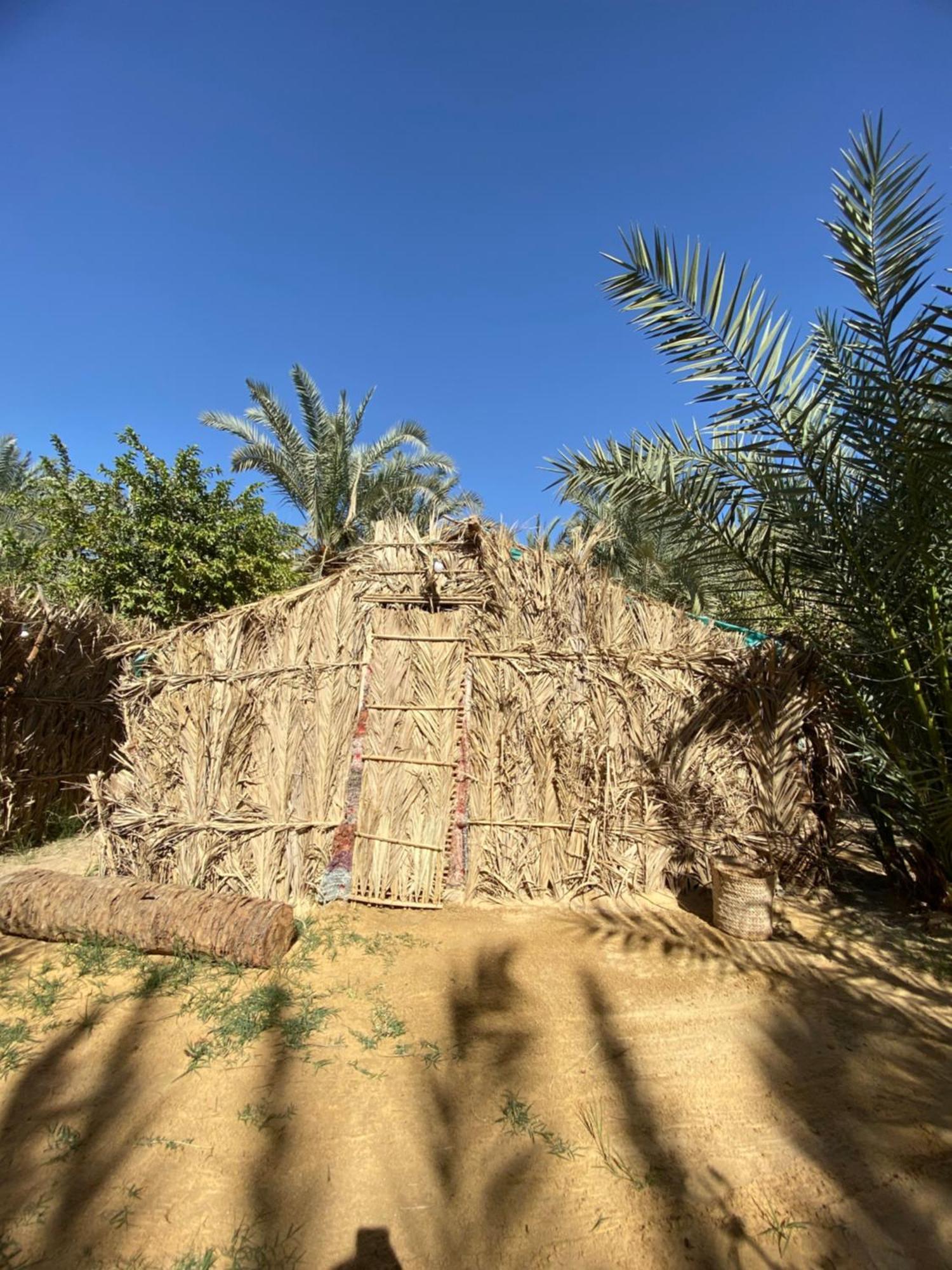 Forest Camp Siwa - كامب الغابة Siwa Oasis Exterior foto