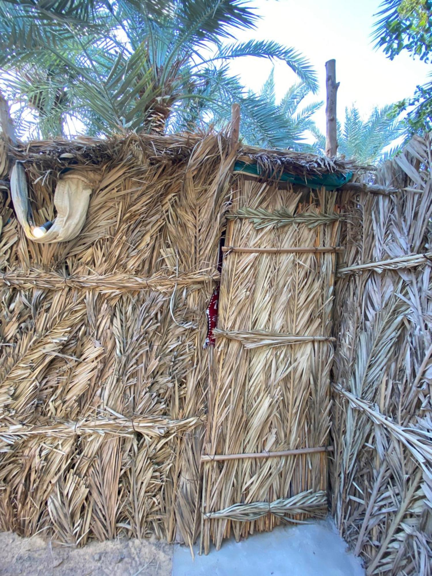 Forest Camp Siwa - كامب الغابة Siwa Oasis Exterior foto