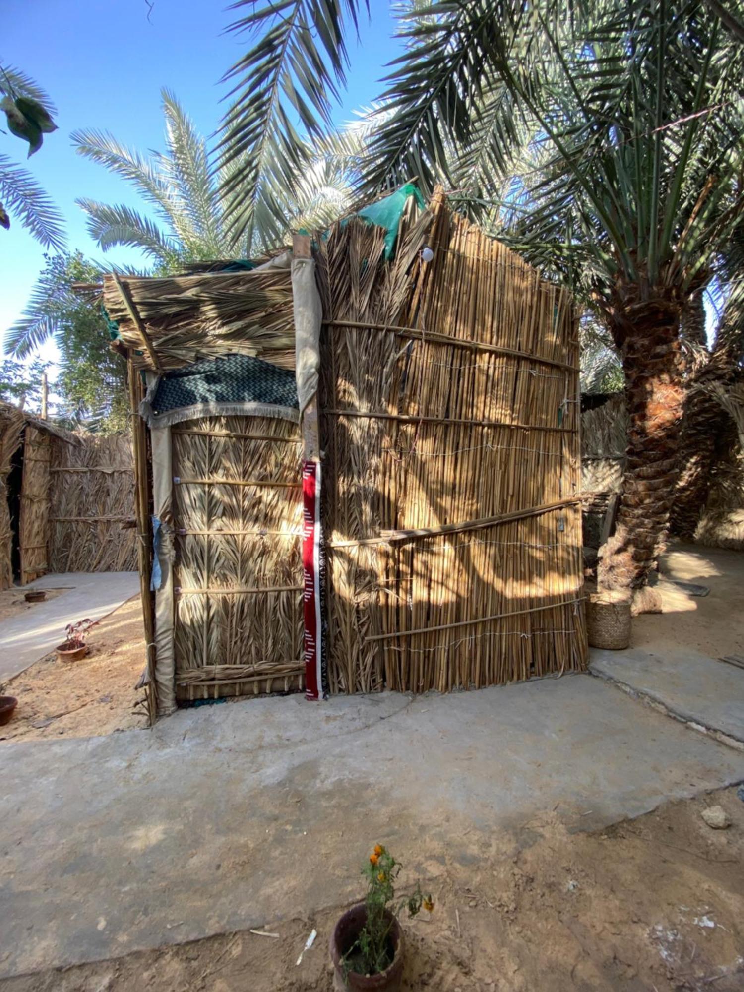 Forest Camp Siwa - كامب الغابة Siwa Oasis Exterior foto